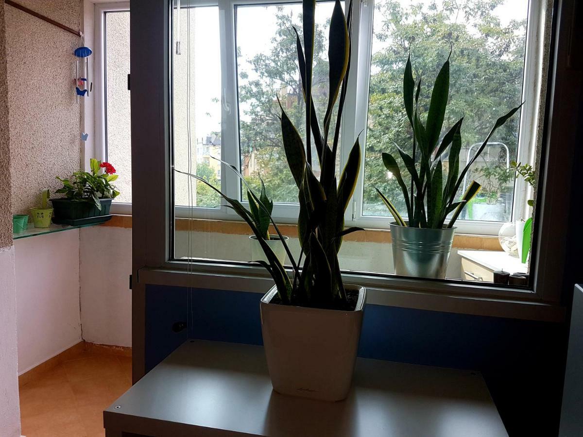Blue Room Sofia Luaran gambar